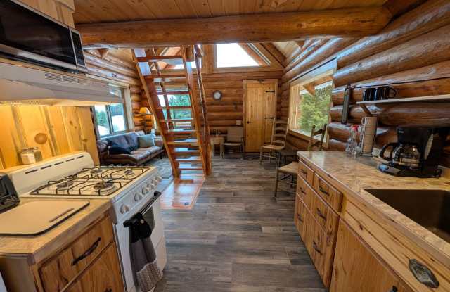Beautiful Remote Furnished Cabin in Kooskia, ID - 292 Big Horse Canyon Road, Idaho County, ID 83539