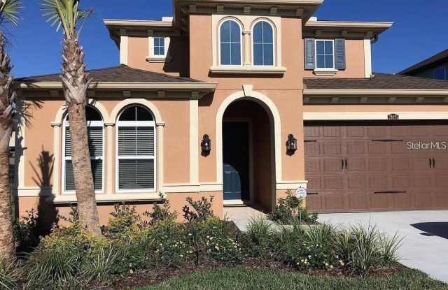 28895 PERILLI PLACE - 28895 Perilli Place, Wesley Chapel, FL 33543