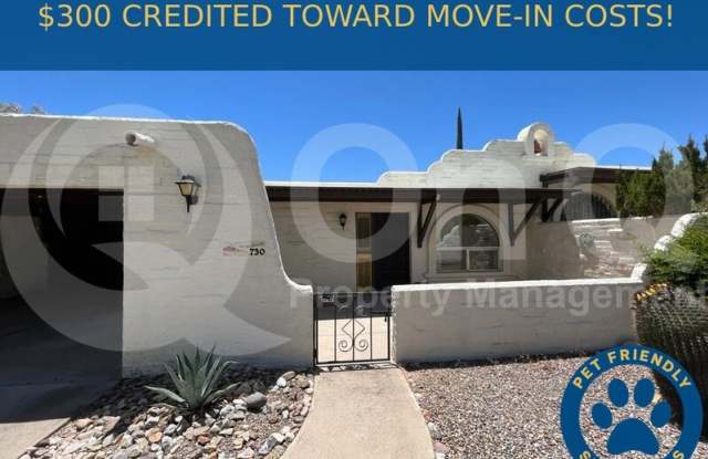 730 West Calle Del Ensalmo - 730 West Calle Del Ensalmo, Green Valley, AZ 85614