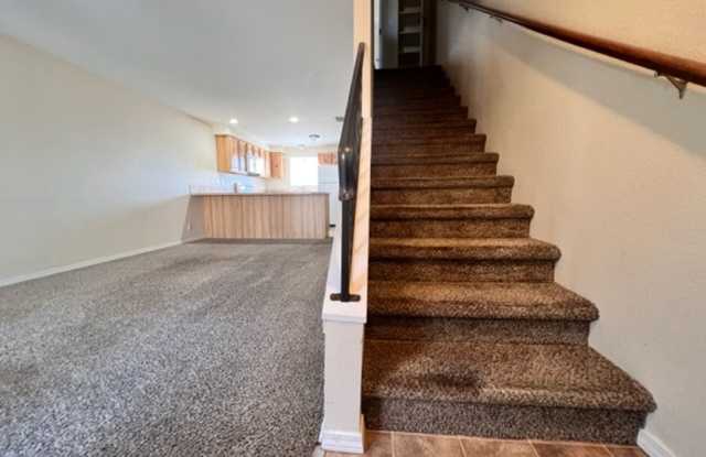 Douglas - 6533 Gallery 3
