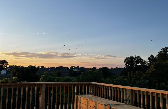 532 Woodcreek Loop photos photos 532 Woodcreek Loop photos photos