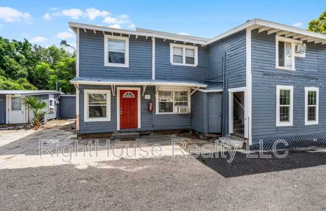 113 South Grove St - 113 South Grove Street, Eustis, FL 32726