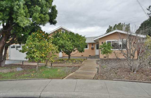 Unique Remodeled Home with European Style in West San Jose photos photos Unique Remodeled Home with European Style in West San Jose photos photos