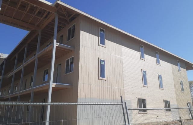 401 Linden Street - 401 Linden St, Reno, NV 89502