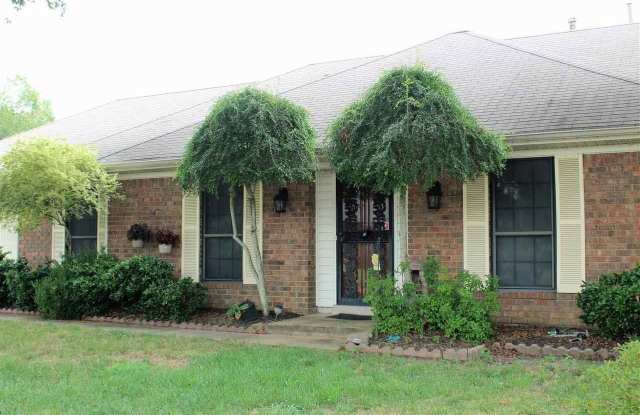 3970 FUN VALLEY photos photos