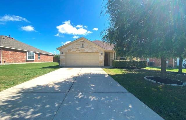 Spacious 4 bedroom in Amberwood! - 285 Amber Ash Drive, Kyle, TX 78640