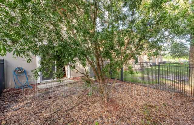 807 Scrub Jay Drive Gallery 4