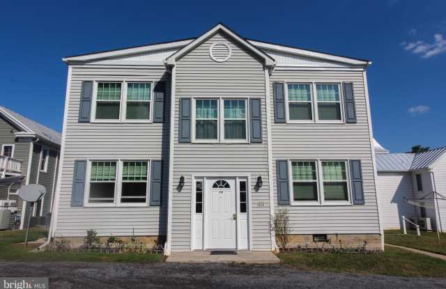 118 PICCADILLY STREET - 118 Piccadilly Street, Edinburg, VA 22824