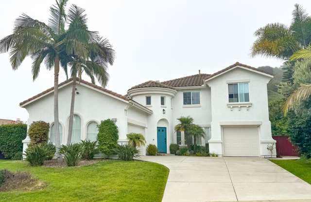 1215 Sand Dollar Way - 1215 Sand Dollar Way, San Marcos, CA 92078