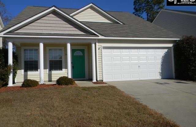 341 Cape Jasmine Way - 341 Cape Jasmine Way, Lexington County, SC 29073