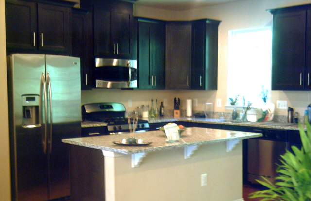 9388 ROCK RIPPLE LANE Gallery 4