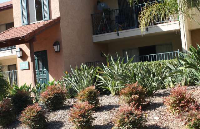 1 Bed/1Bath Condo in Carlsbad!! ~Hosp Way #156 photos photos