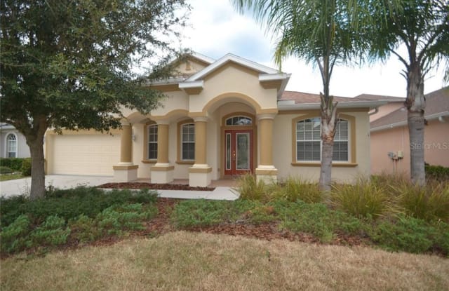 10513 SKY FLOWER COURT - 10513 Sky Flower Court, Pasco County, FL 34638