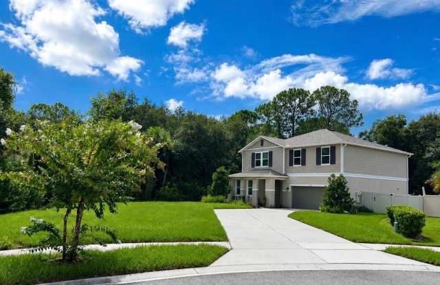 1407 VERDELLO Place photos photos