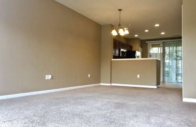 8098 SUMMER PALM CT Gallery 3