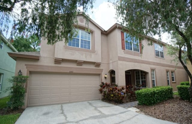 10503 Chamberlain Court - 10503 Chamberlain Court, Westchase, FL 33626