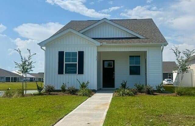 117 N Atlantic Avenue - 117 North Atlantic Avenue, Pender County, NC 28411