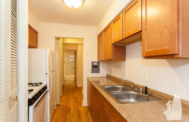 510 West Briar Place - 510 West Briar Place, Chicago, IL 60657