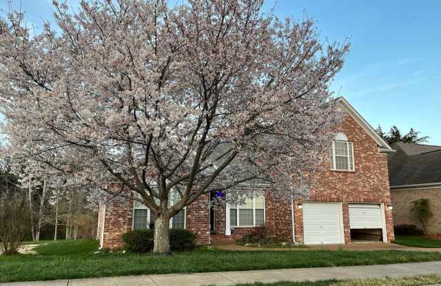 FOR LEASE - 4 BED 2.5 BATH SINGLE-FAMILY HOME IN MT. JULIET photos photos