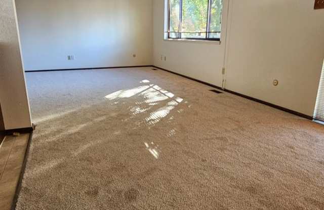 Immaculate Ranch with Large Backyard and Basement in Arvada Gallery 4
