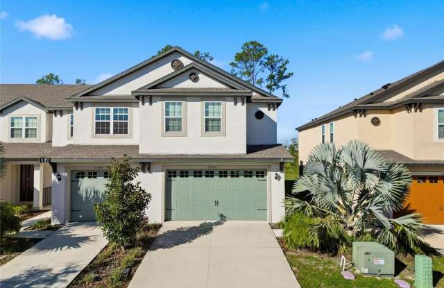 11405 CAY SPRUCE WAY - 11405 Cay Spruce Way, Pasco County, FL 33545