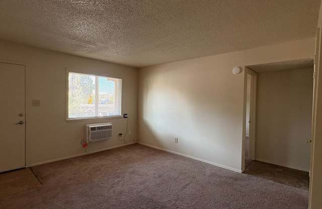 Ponderosa Pines photos photos
