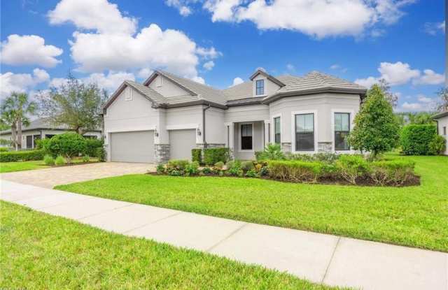 9309 Surfbird photos photos