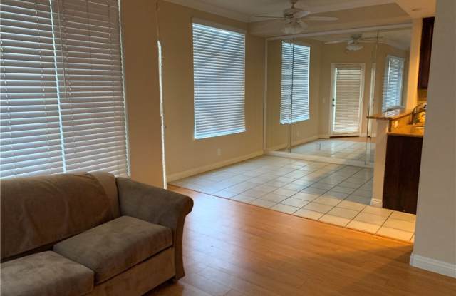 65 Cinnamon Teal Gallery 2