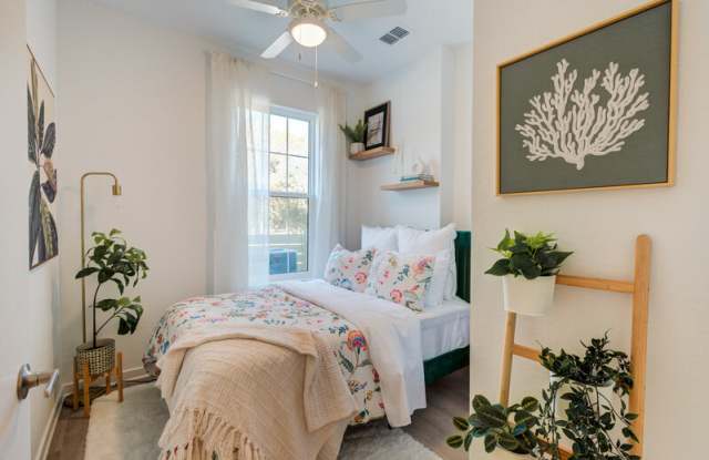Welcome Canary Gallery 2
