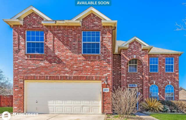 503 Cassia Way - 503 Cassia Way, Arlington, TX 76002