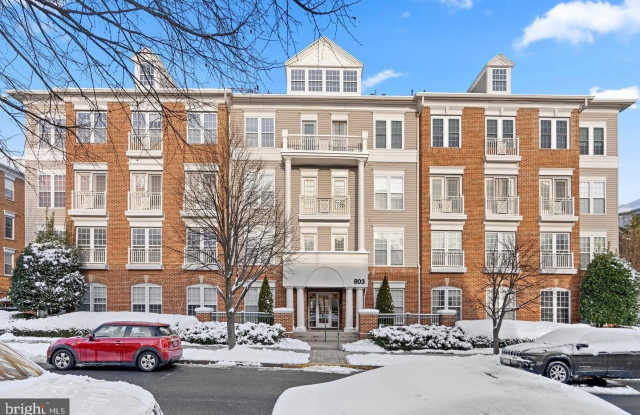 803 RESERVE CHAMPION Drive unit: 203 photos photos