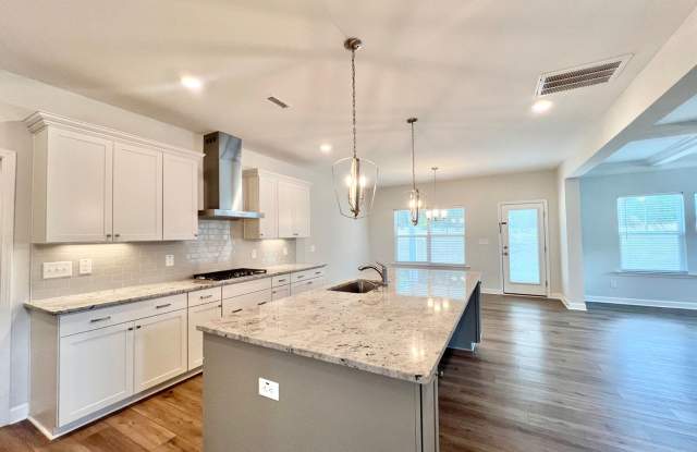 Exquisite 5BD, 4.5BA Knightdale House with Oversized Features, HOA Amenities, and 2-Car Attached Garage Gallery 4