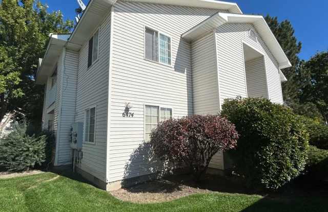 Lucky - 6474 photos photos