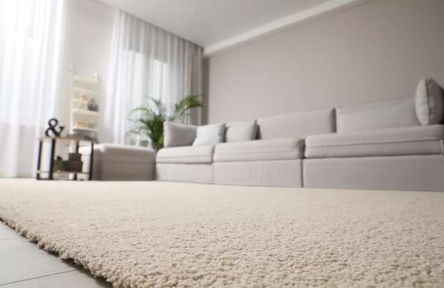 Spanish Oak photos photos