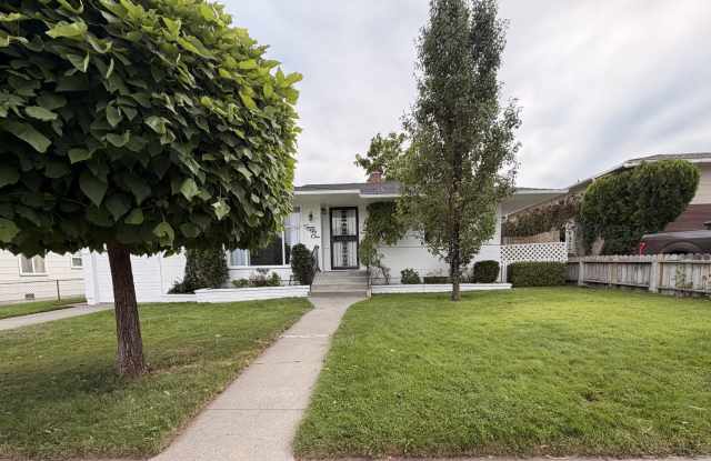 Central Reno with Bonus Space Gallery 3
