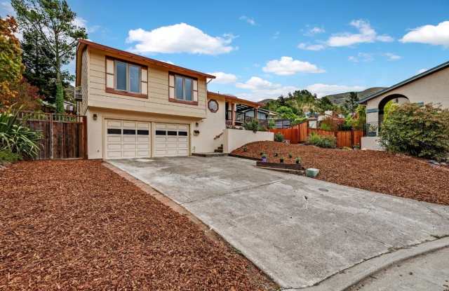 19 Elk CT - 19 Elk Court, Pacifica, CA 94044