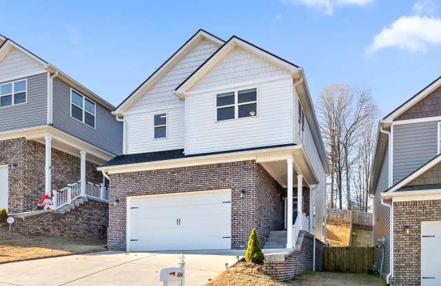 446 Candytuft Lane photos photos