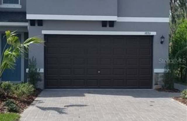 18701 NOBLE CASPIAN DRIVE - 18701 Noble Caspian Dr, Cheval, FL 33558