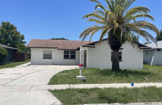 1502 Fox Run Drive - 1502 Fox Run Drive, Tarpon Springs, FL 34689