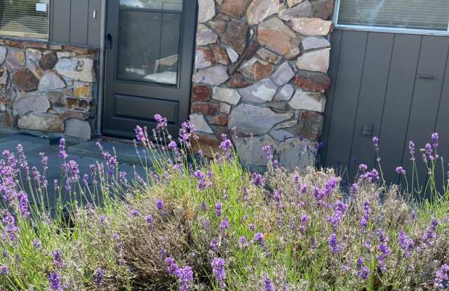 Cozy 2 Bedroom, 1 Bathroom Apartment in The Dalles photos photos