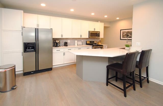 1539 North Wicker Park Avenue - 1539 North Wicker Park Avenue, Chicago, IL 60622