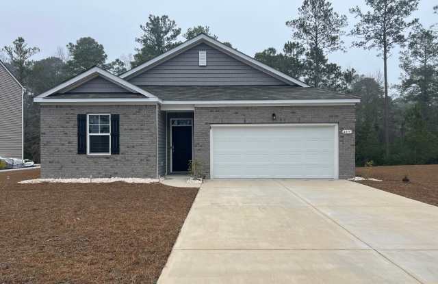 4019 Sweetspire Court - 4019 Sweetspire Court, Horry County, SC 29526 4019 Sweetspire Court - 4019 Sweetspire Court, Horry County, SC 29526