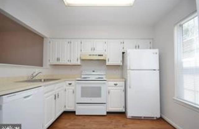 7880 WAVERLEY MILL COURT Gallery 4