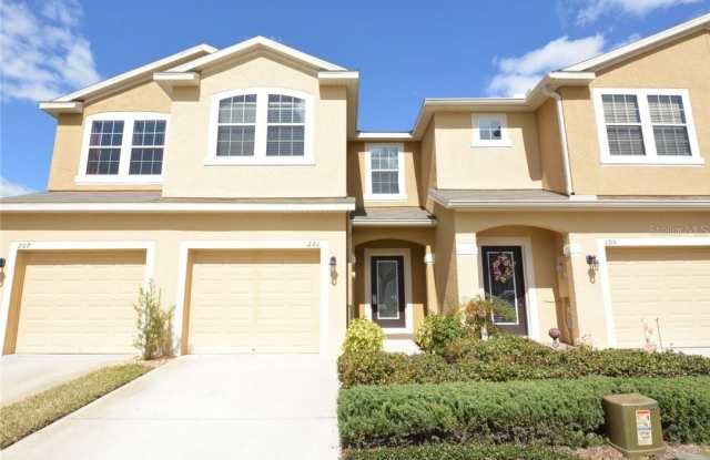 201 ANGEL TRUMPET WAY photos photos