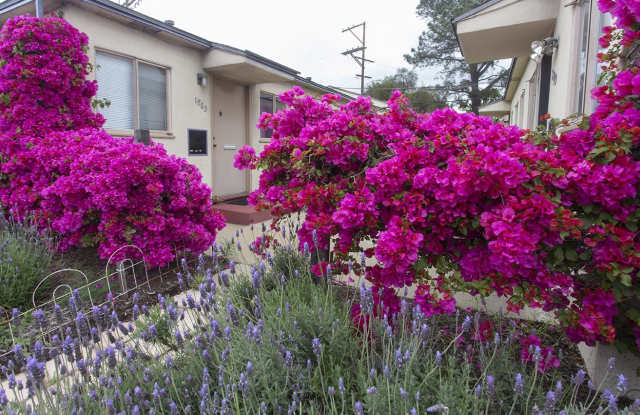 1859 Morena Blvd. - 1859 Morena Blvd, San Diego, CA 92110