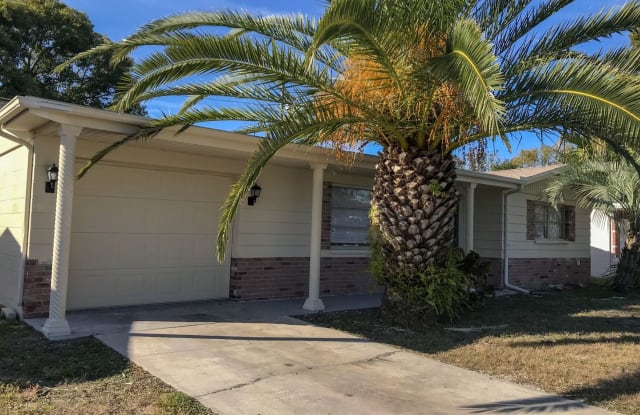 3619 Monticello St. - 3619 Monticello Street, Elfers, FL 34652
