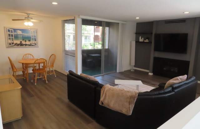 Partially Furnished Two Bedroom Condo in College Area Gallery 3