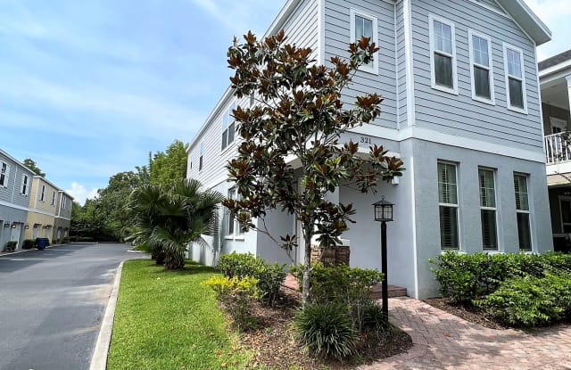 321 Vista Cruiser Ln - 321 Vista Cruiser Lane, Oldsmar, FL 34677