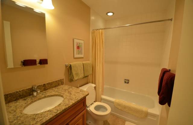 Long Winter Lease! Fully Furnished, on bus route! Remodeled Kitchen and Baths! photos photos Long Winter Lease! Fully Furnished, on bus route! Remodeled Kitchen and Baths! photos photos