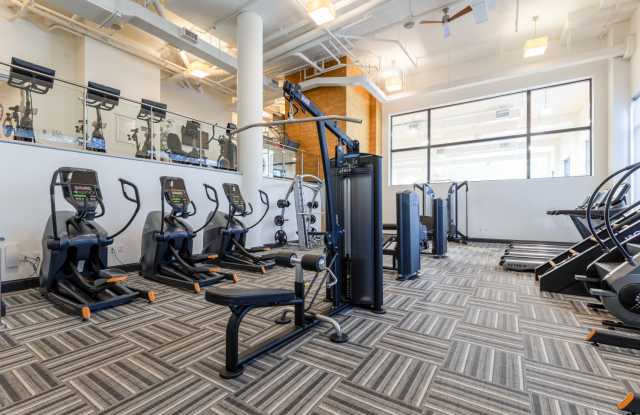 Halstead Square - Lotus & Lofts Gallery 3